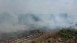 Imbas Karhutla Palangka Raya, Penderita Ispa Naik 20 Persen di Agustus 2023<