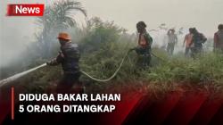 Satgas Karhutla Jambi Tangkap 5 Orang Terduga Pembakar Lahan