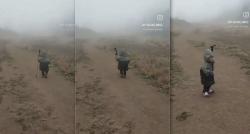 Viral Balita Diajak Mendaki Gunung Prau, Netizen Gemas sampai Sebut Pendaki Kolot 
