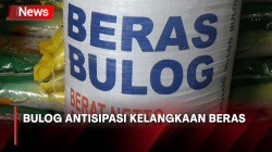 Bulog Sumut Siapkan 60 Ribu Ton Beras, Antisipasi Kelangkaan Beras