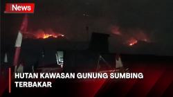 Awas! Hutan di Kawasan Gunung Sumbing Terbakar, Penyebab Belum Diketahui