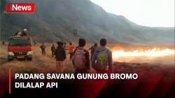 Wisata Gunung Bromo Ditutup Sementara, Kawasan Padang Savana Terbakar