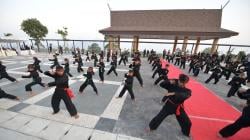 Ridwan Kamil Ingin Pencak Silat Lebih Mendunia seperti Angklung<
