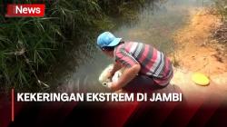 Kekeringan di Jambi, Warga Gunakan Air Bekas Galian untuk Kebutuhan Sehari-hari