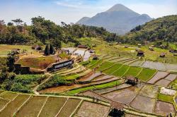 Terbaik, Desa Wisata Ketapanrame Dikujungi 1.000 Wisatawan saat Akhir Pekan