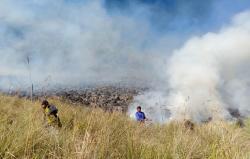Kebakaran di Gunung Bromo Meluas, Pintu Masuk Lewat Pasuruan Ditutup<