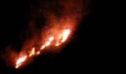Niat Usir Kera, Warga Gunungkidul malah Picu Kebakaran Lahan 
