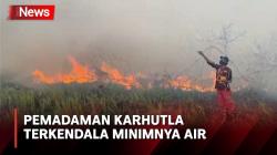 Karhutla Nyaris Bakar Peternakan Ayam Milik Warga di Palangka Raya