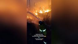 Kebakaran 5 Hektare Hutan dan Lahan Ancam Permukiman Warga Teluk Bayur Kaltim<
