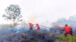 Kebakaran Lahan Meluas, Pemkab OKI Tetapkan Status Tanggap Darurat Bencana