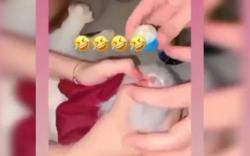 Video Viral Kucing Dicekoki Miras, 3 Mahasiswi di Padang Digeruduk Warga