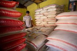 Harga Beras Masih Mahal, Termahal Nyaris Sentuh Rp20.000 per Kg