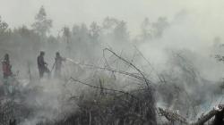 Karhutla di Palangka Raya Meluas ke Permukiman Warga, Bangunan Walet Nyaris Terbakar<