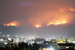 Kebakaran Meluas, Ribuan Hektare Hutan Gunung Arjuno Pasuruan Dilalap Api 