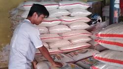   Harga Beras di Kulonprogo Merangkak Naik, Disdagin Siapkan Operasi Pasar