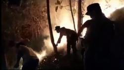 Lahan Hutan Gunung Pager Ijo Kebumen Terbakar, Petugas Berjibaku Padamkan Api