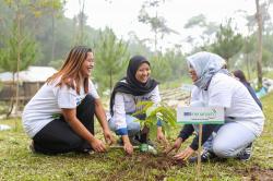 Sejalan AIPF 2023, Ini Jurus BRI Dukung Pemerintah Menuju Ekonomi Rendah Karbon
