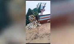 2 Kapal Nelayan Karam di Pantai Selatan Blitar, 15 ABK Selamat 8 Hilang