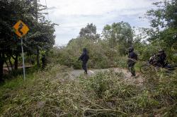Tolak Relokasi, Warga Pulau Rempang Batam Blokir Jalan dengan Pohon