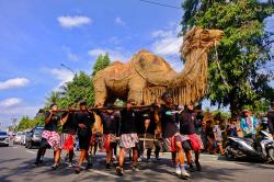 Penampakan Unta Raksasa saat Kirab Moro Borobudur 2023