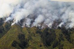 Kebakaran Gunung Bromo Diduga gegara Flare Prewedding Meluas