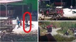 Mengenal Tradisi Kawin Tangkap di Sumba Barat Daya, Tak Bisa Dilakukan Sembarang Orang