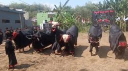 Disupport Bacaleg Partai Perindo Christophorus Taufik, Ini Kata Komunitas Bantengan Putra Ledhog