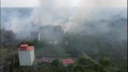 DLH Kalteng Sebut Karhutla Sebabkan Kerusakan Lingkungan Kota Palangka Raya<