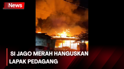 Si Jago Merah Hanguskan 4 Lapak di Makassar, Sulawesi Selatan