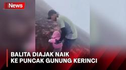 Pendaki Ajak Balita Naik ke Puncak Gunung Kerinci, Begini Kondisinya
