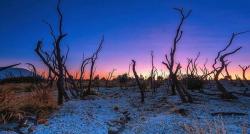 Kampung Unik di Garut, Singgah ke Desa Terpencil Pemandangannya Hutan Mati Menakutkan <