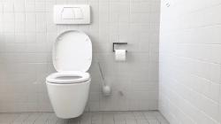 Inovasi Baru, Imuwan China Bikin Mangkuk Toilet Super Licin