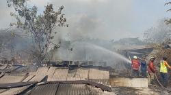  Bekas Kandang Sapi di Kaliwungu Kendal Terbakar, Diduga akibat Bakar Sampah