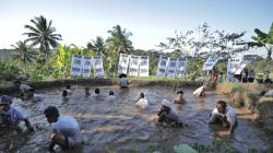 Seru, Ngobeng Lauk Relawan Ganjar Pranowo dan Warga di Baregbeg Ciamis<