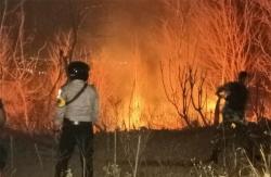Lahan Sultan Ground Seluas 1,5 Hektare di Bantul Terbakar<