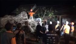 Pohon Besar di Jombang Tumbang Timpa Rumah Warga, Lalu Lintas Peterongan-Jogoroto Dialihkan