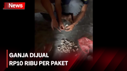 Bandar Ganja Diciduk di Batu Bara, Lagi Santai Tunggu Pembeli
