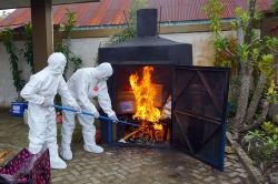 Puluhan Kilogram Daging Positif Flu Babi Afrika Dimusnahkan di Kota Sorong