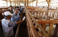 Entaskan Kemiskinan Ekstrem di Bantul, Baznas Bantu Kandang Ternak dan Pengolahan Kompos<