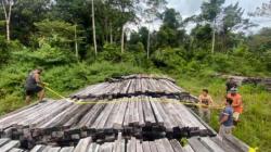 Kasus Pembalakan Liar di Teluk Bintuni Papua Barat, 1 Oknum ASN Jadi Tersangka<