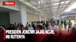 Hari Ini, Presiden Jokowi Jajal Kereta Cepat Jakarta Bandung<