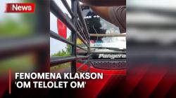 Video Bus Dimintai Klakson 'Om Telolet Om' Malah Nabrak Viral, Pengunggah Terancam Dipolisikan