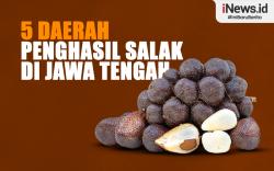 Infografis 5 Daerah Penghasil Salak Terbesar di Jawa Tengah
