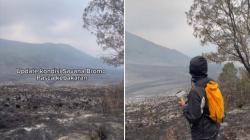 Viral Penampakan Bukit Teletubbies Pascakebakaran, seperti Kawasan Mati tanpa Kehidupan