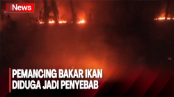  Warga Panik, Lahan Kering Seluas 1 Hektare Terbakar di Pandeglang