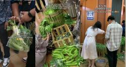 Viral Sayuran Jadi Suvenir Pernikahan, Isinya Sawi hingga Terong 