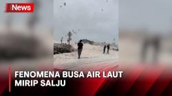 Fenomena Alam Berupa Busa Air Laut Melanda Pantai Lawrencetown Kanada