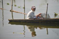 Ikan Rinuak Hewan Endemik Danau Maninjau Hilang Sejak Kematian Massal 