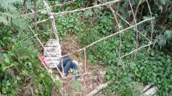 Cianjur Geger, Mayat Pria Tanpa Identitas Ditemukan di Kawasan Gunung Gede Pangrango