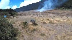 Alan-alun Suryakencana Gunung Gede Pangrango Cianjur Terbakar<